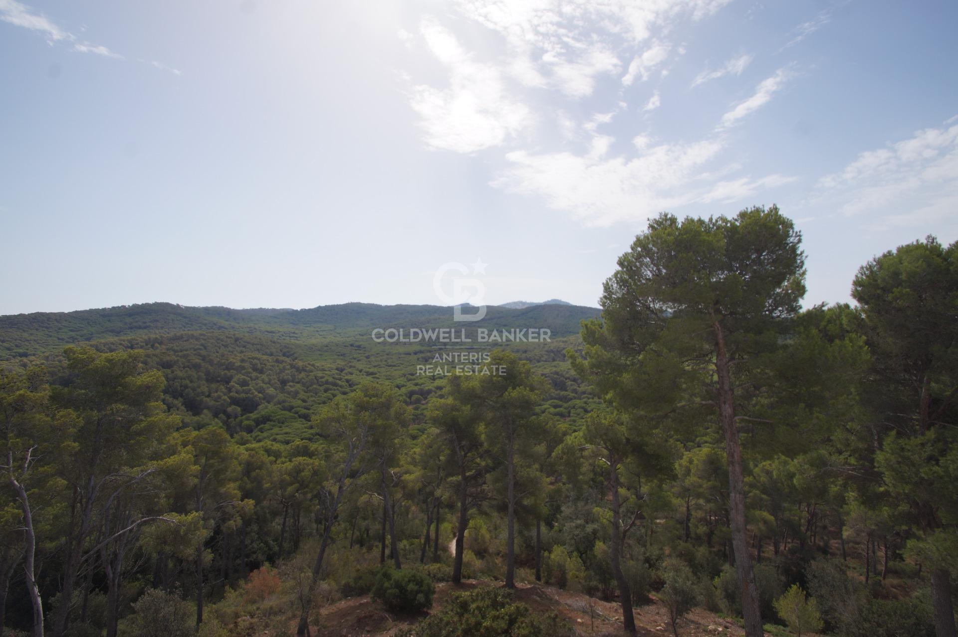 Casa grande unifamiliar con vistas