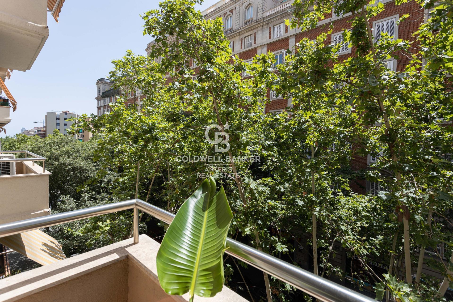 Luminoso piso completamente reformado