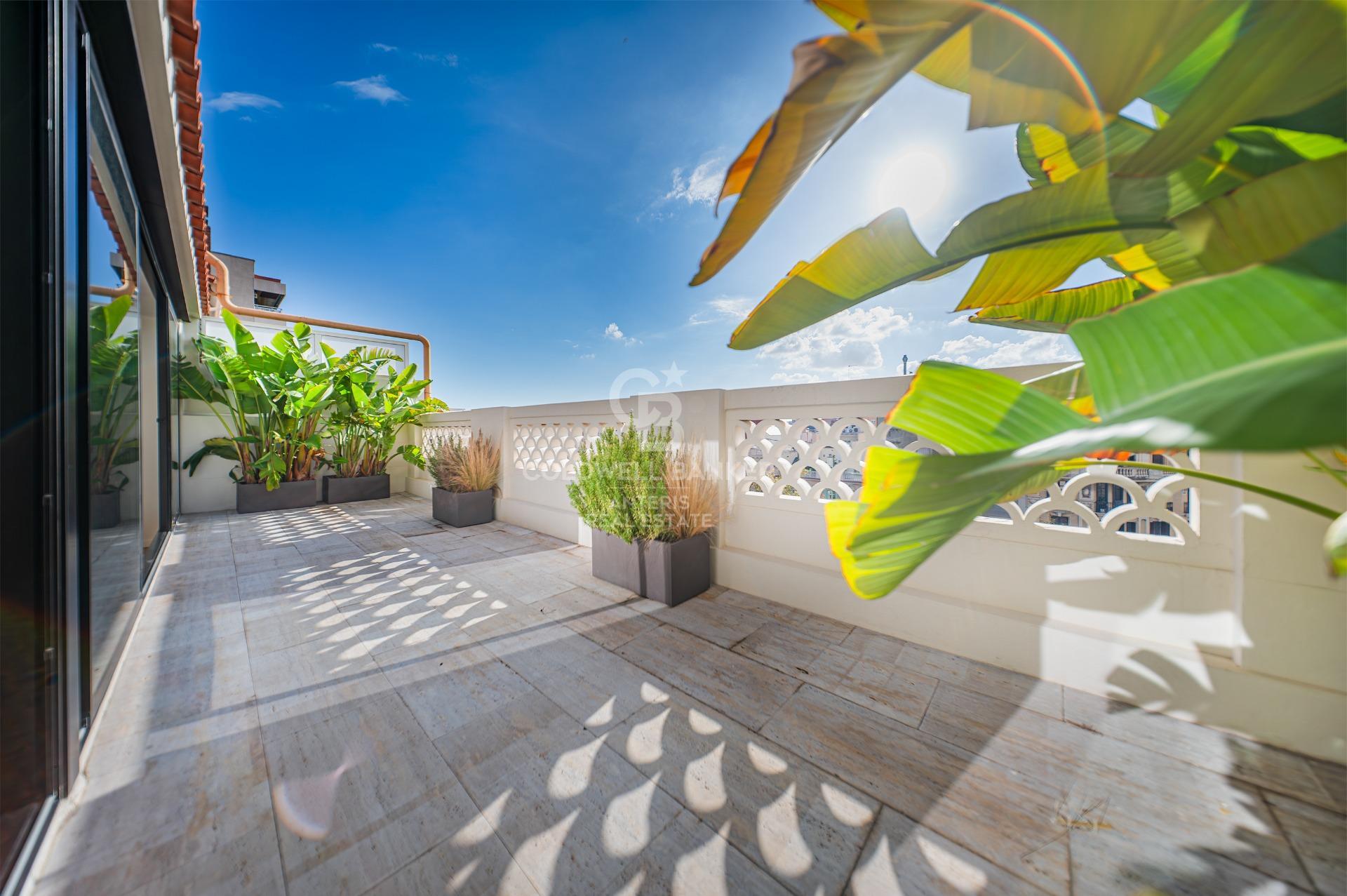 Bright renovated penthouse with terrace