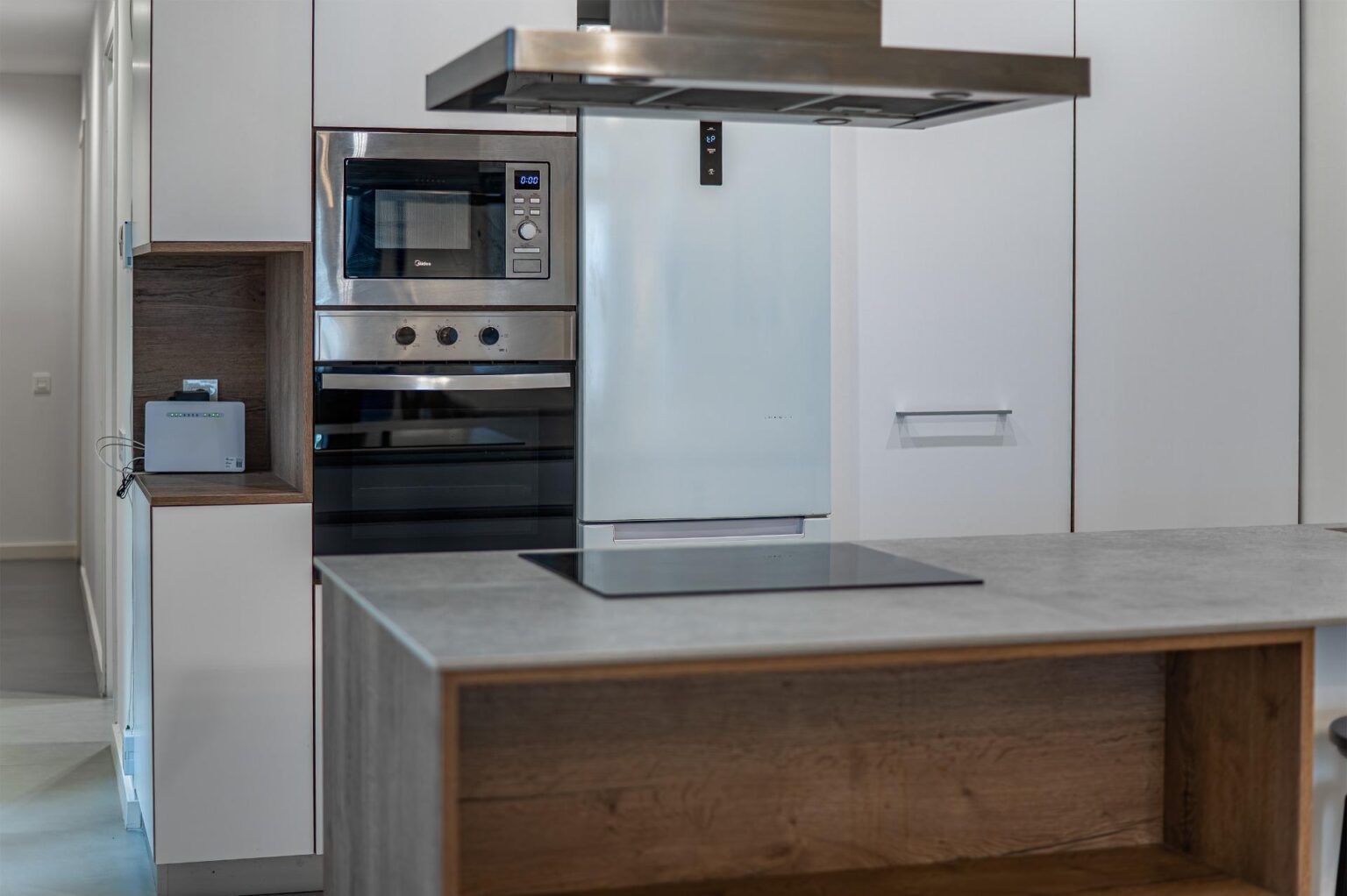 Spacious renovated apartment in historic building