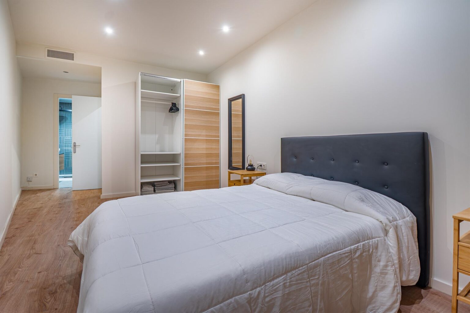 Spacious renovated apartment in historic building