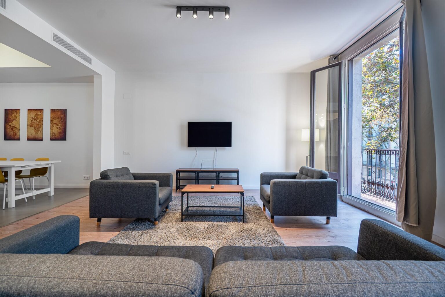 Spacious renovated apartment in historic building