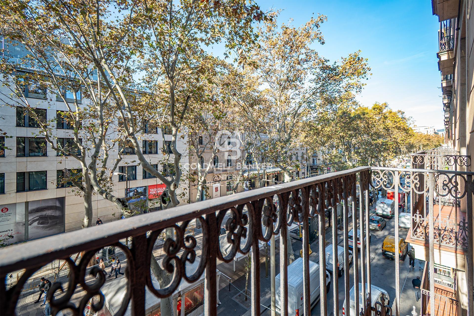 Spacious renovated apartment in historic building