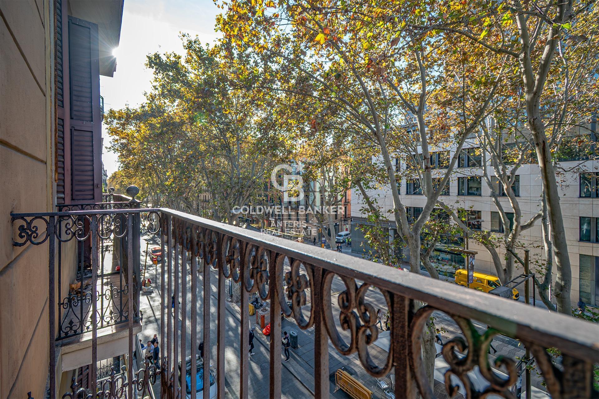 Spacious renovated apartment in historic building