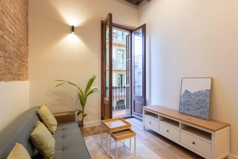 Brand-new apartment in a classical building