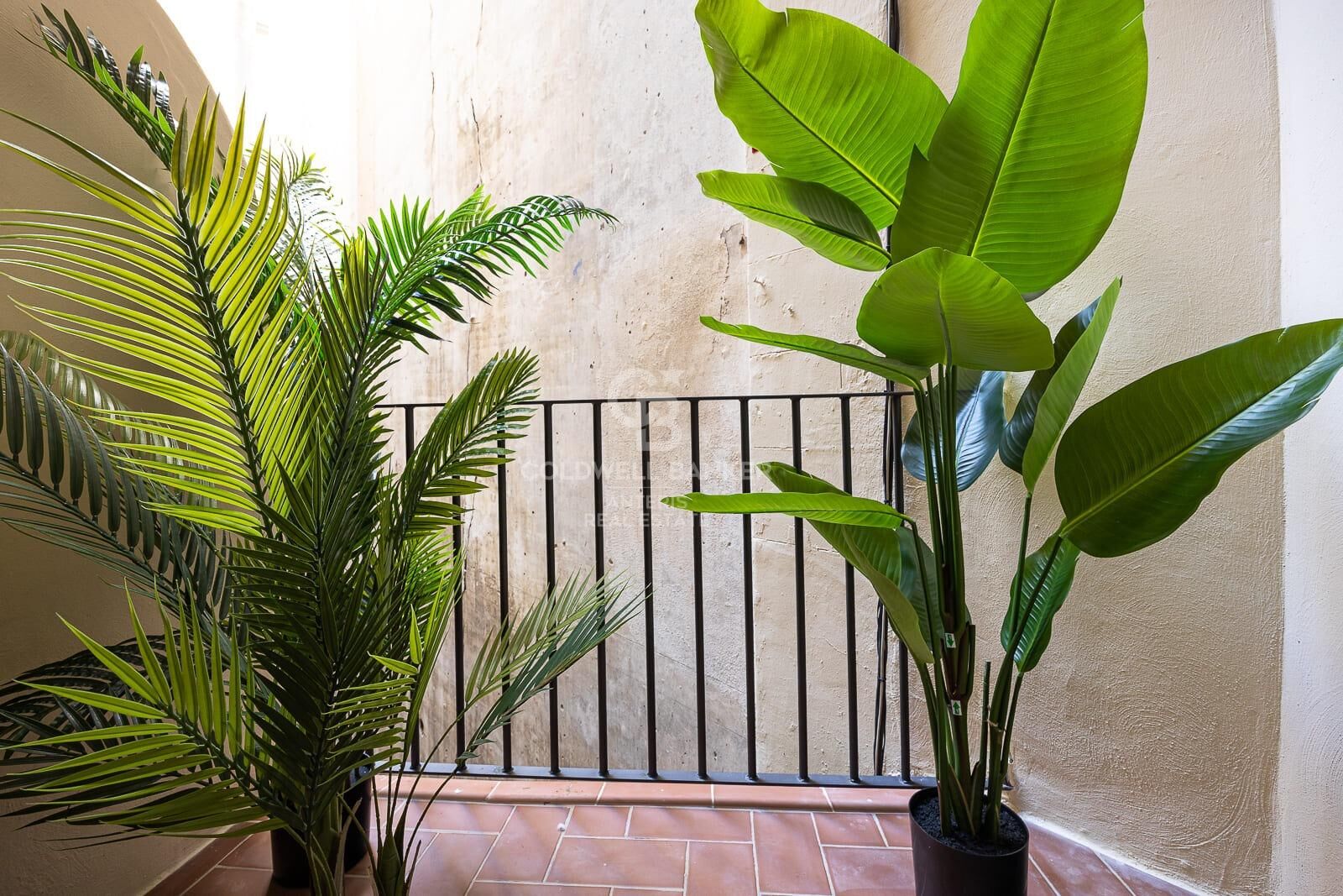 Bright exterior apartment in a classic building on Aribau Street